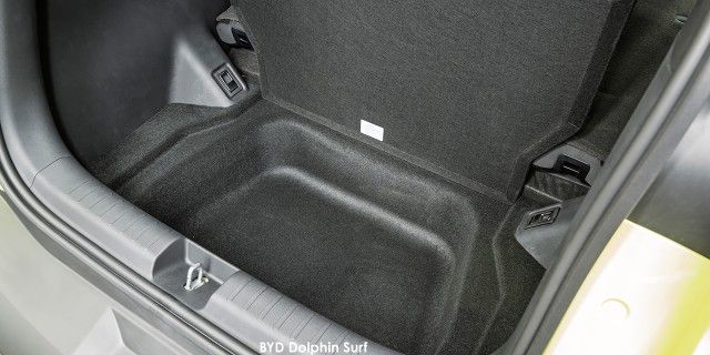 BYD DOLPHIN SURF DYNAMIC - 14 