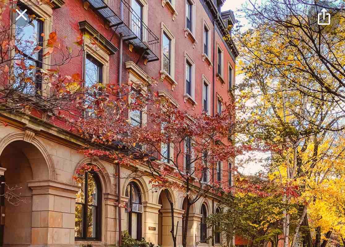 Boston Harbor View!Free Parking!North End 3 bed gallery image 4