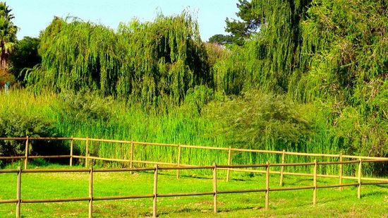 Photo 2 of Welgelee Constantia accommodation in Constantia, Cape Town with 4 bedrooms and 4 bathrooms