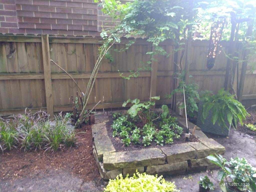 Lakeview/Wrigleyville 3 bedroom, 3 bath duplex up gallery image 3