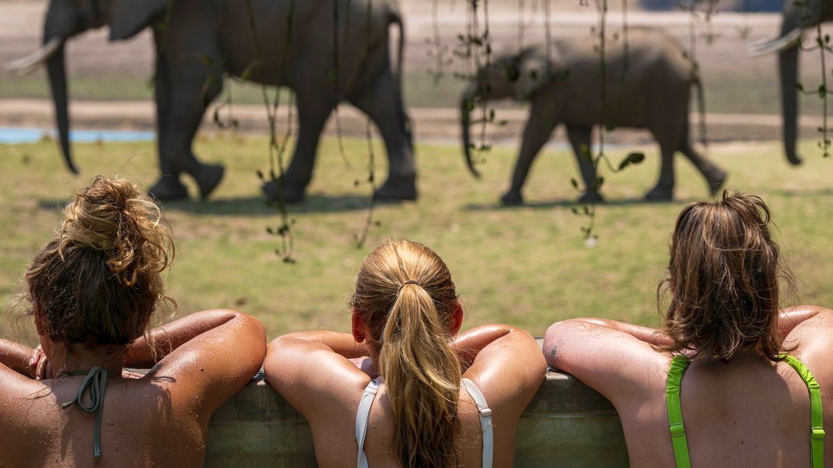 4-Day Safari in Zambia’s South Luangwa National Park