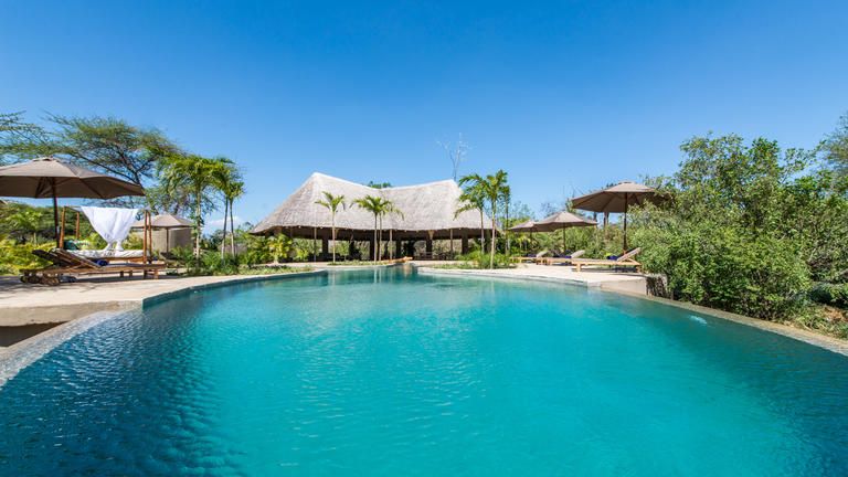 Swimming Pool - Infinity pool overlooking the hippo pools