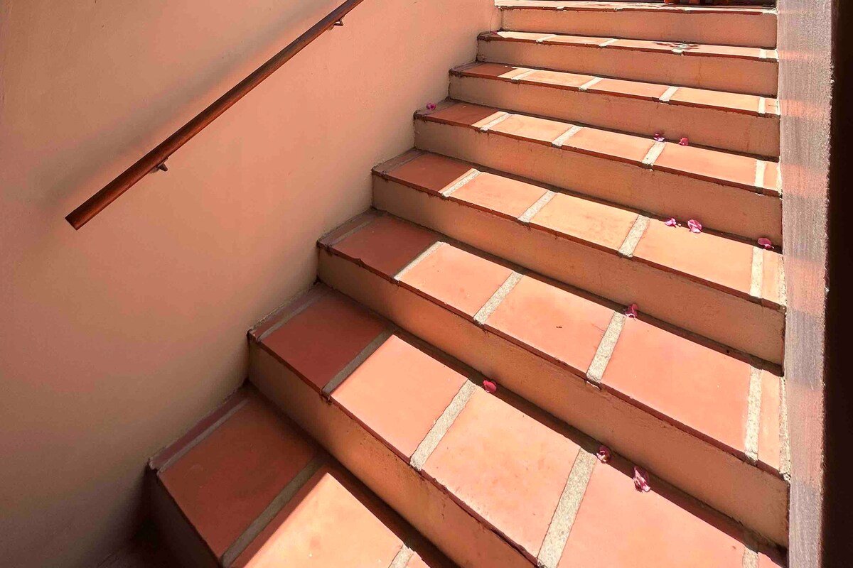 Luxury home in Oranjezicht by Steadfast Collection gallery image 3