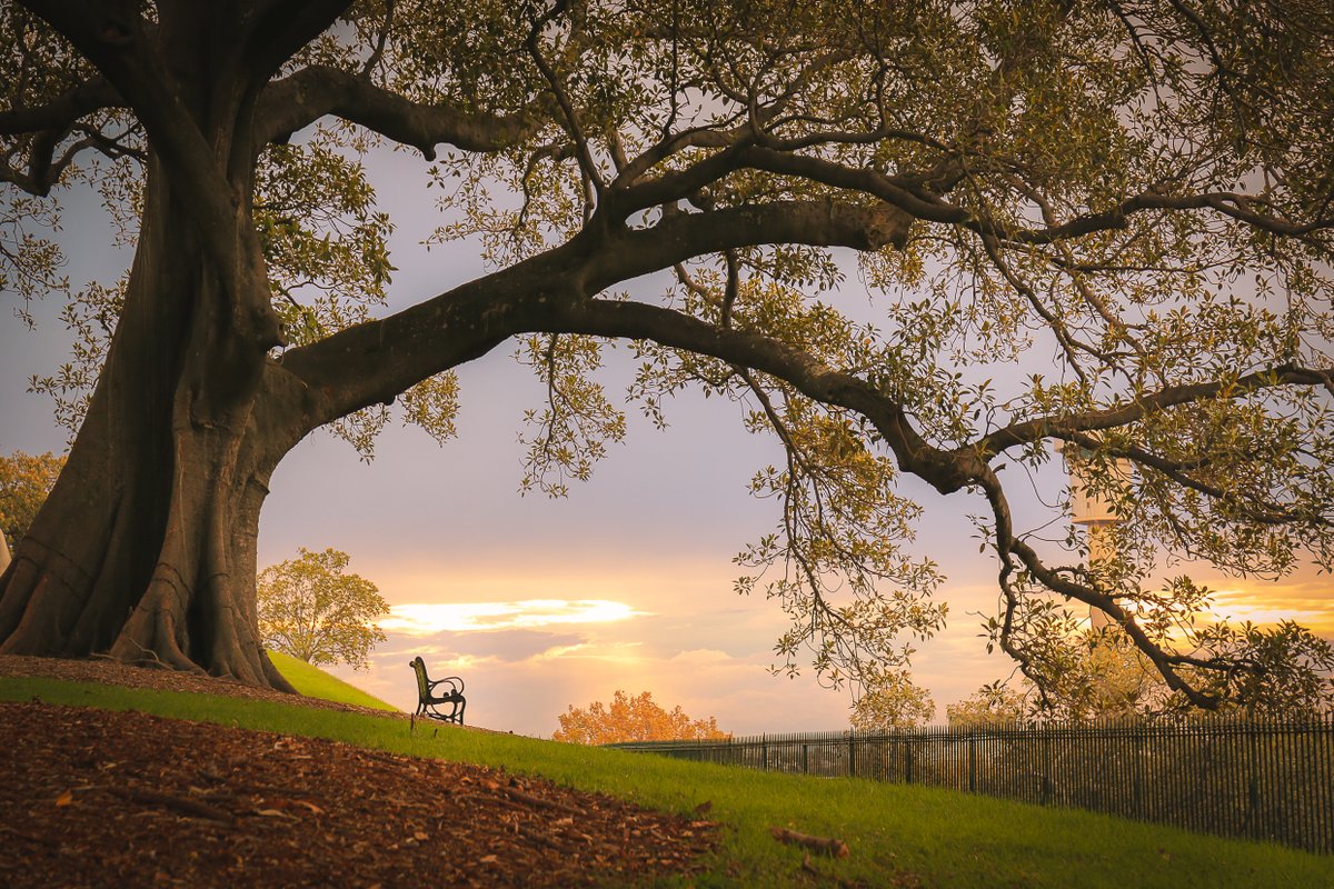 Waterview terrace in rock