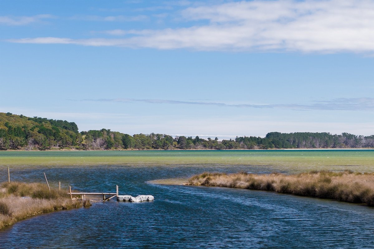Cloudy Creek Cottage – Serenity, views & nature! gallery image 5