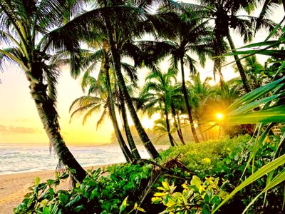 KBM Resorts | FREE CAR Mauna Lani IML-E4 XL Lanai