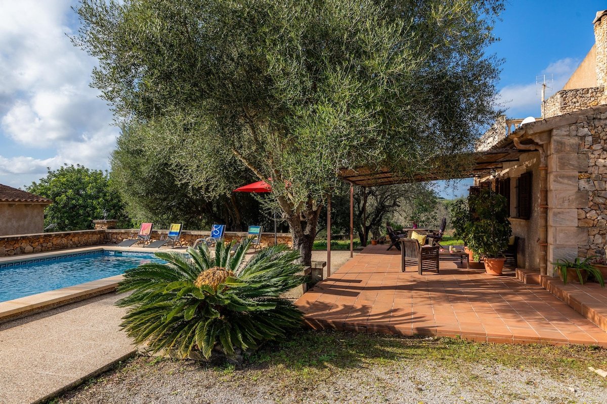 Cocotte gallery image 4