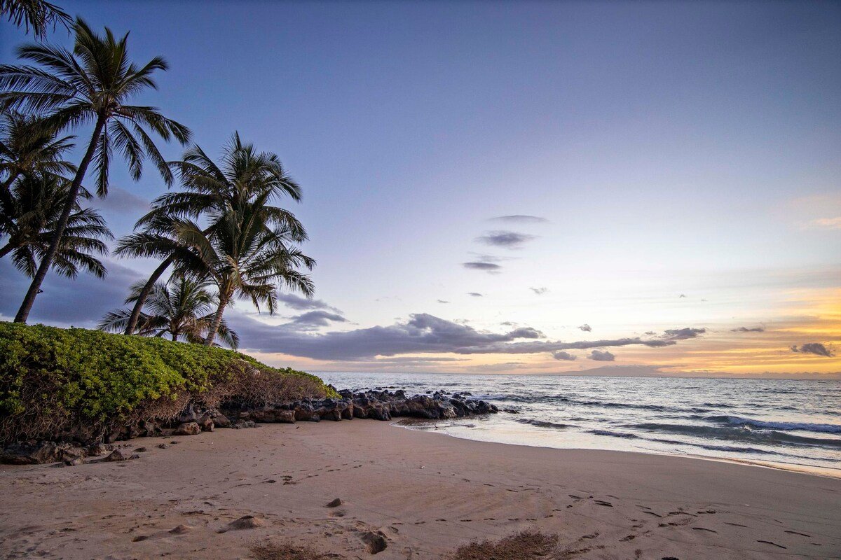 Ocean Views | Polo Beach Club | Groundfloor Condo gallery image 5