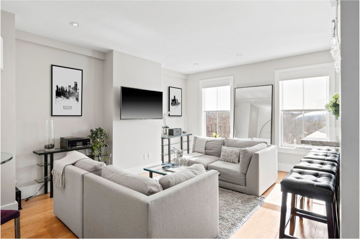 Stunning SouthEnd/BackBay Penthouse gallery image 3