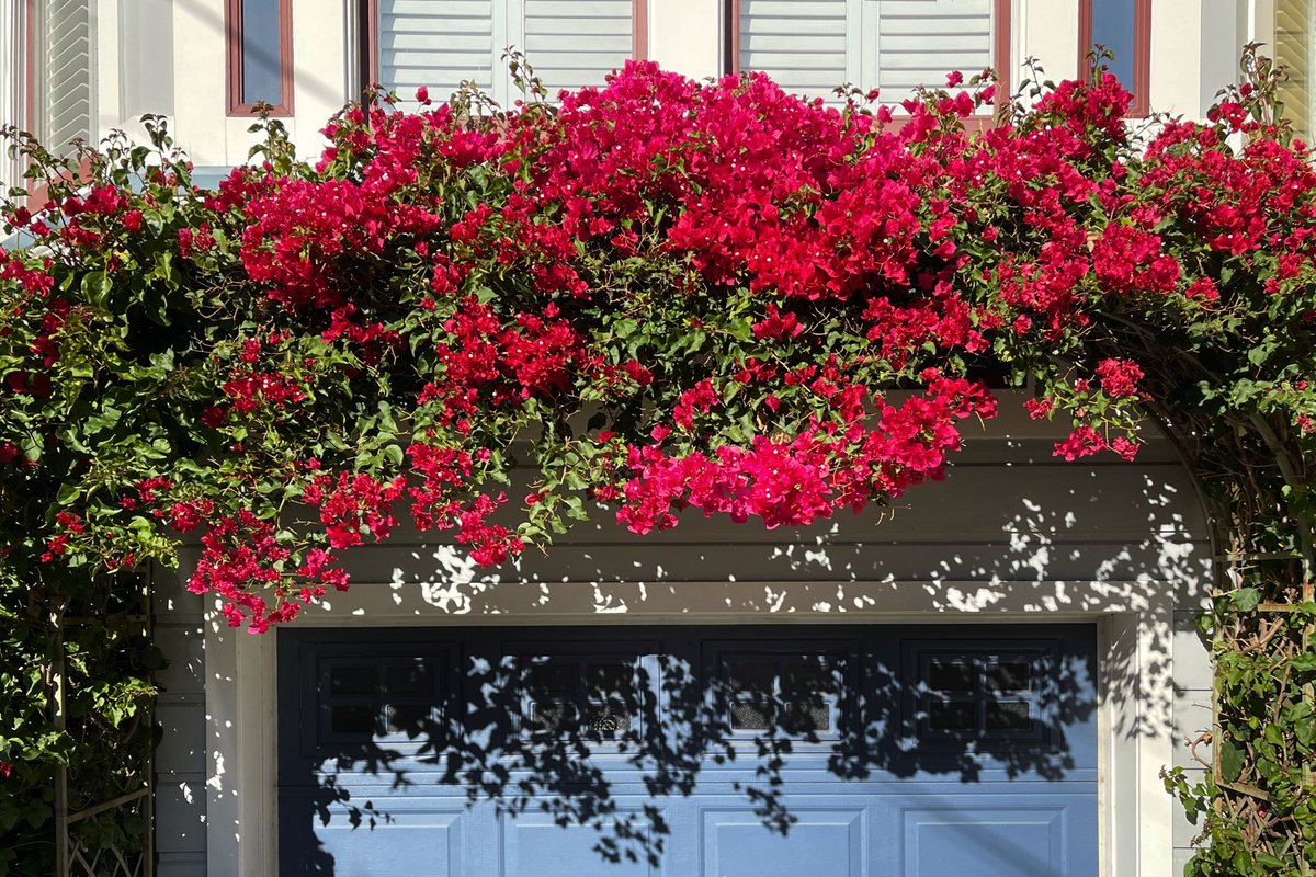 Totally Renovated Victorian House in Center SF!