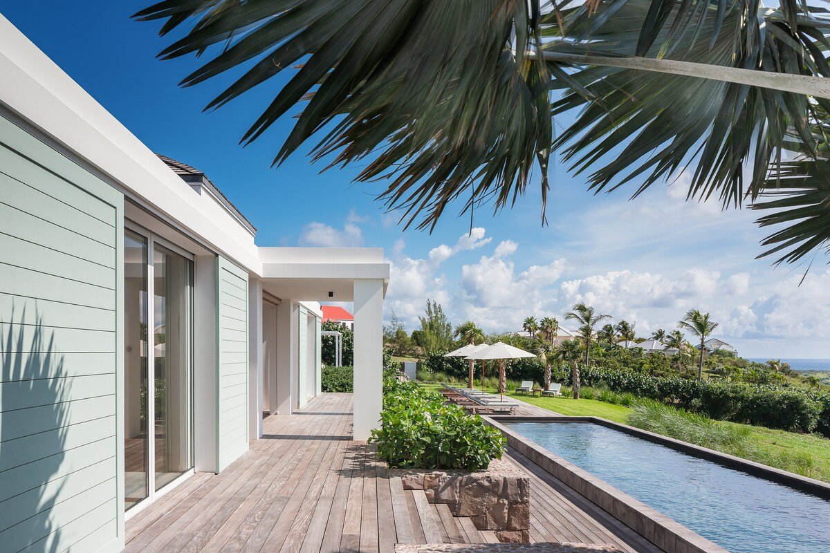 Celadon gallery image 2