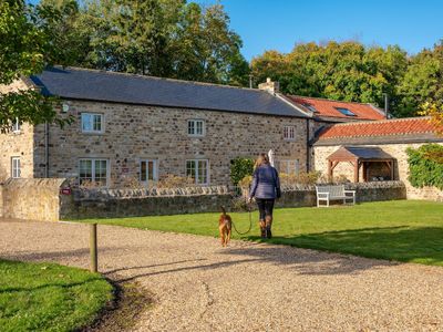 Henry | Holiday at Home