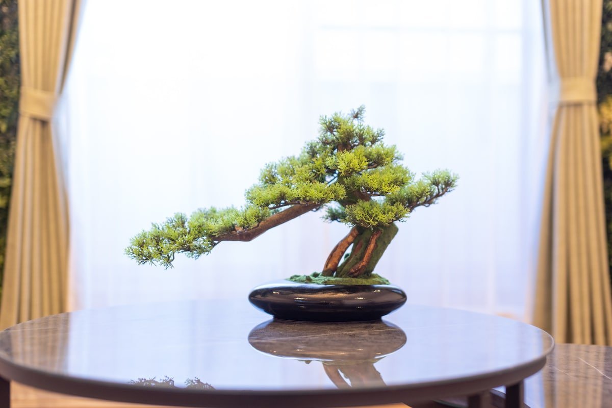 7 min walk sta. 3 min to Shibuya. 7Bed. 3Room gallery image 4