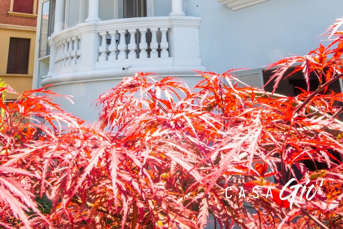 Casa Giò: Tranquillità a pochi passi dal centro gallery image 4