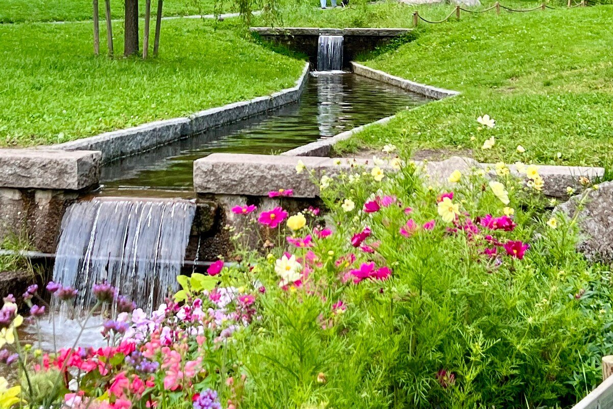 En grønn oase midt i Oslo gallery image 5