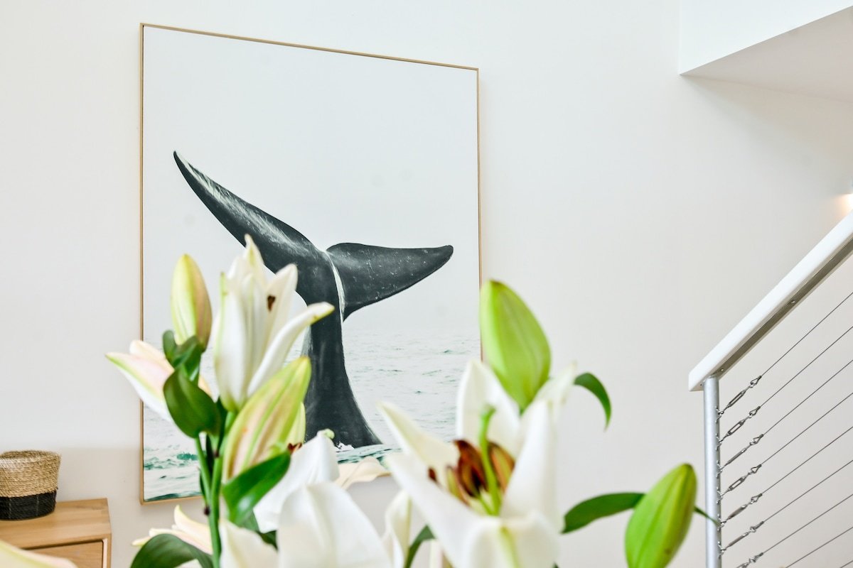 Noosa Crest Penthouse 40: Private Rooftop Pool gallery image 5