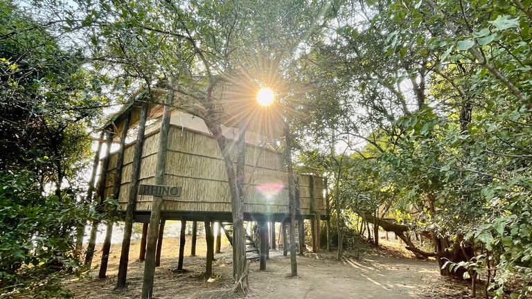Island Bush Camp Elevated Open-Fronted Chalet