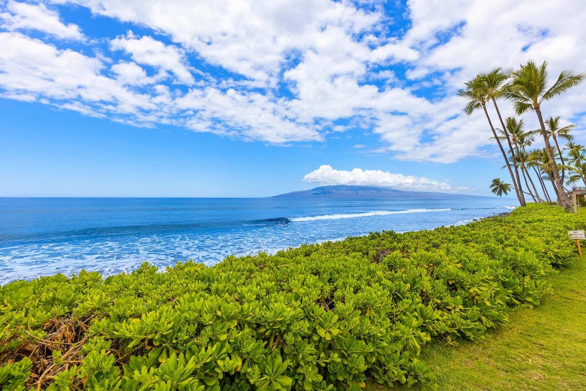 Summer Special Rates! Oceanfront 4BR Puamana 9-2 gallery image 5