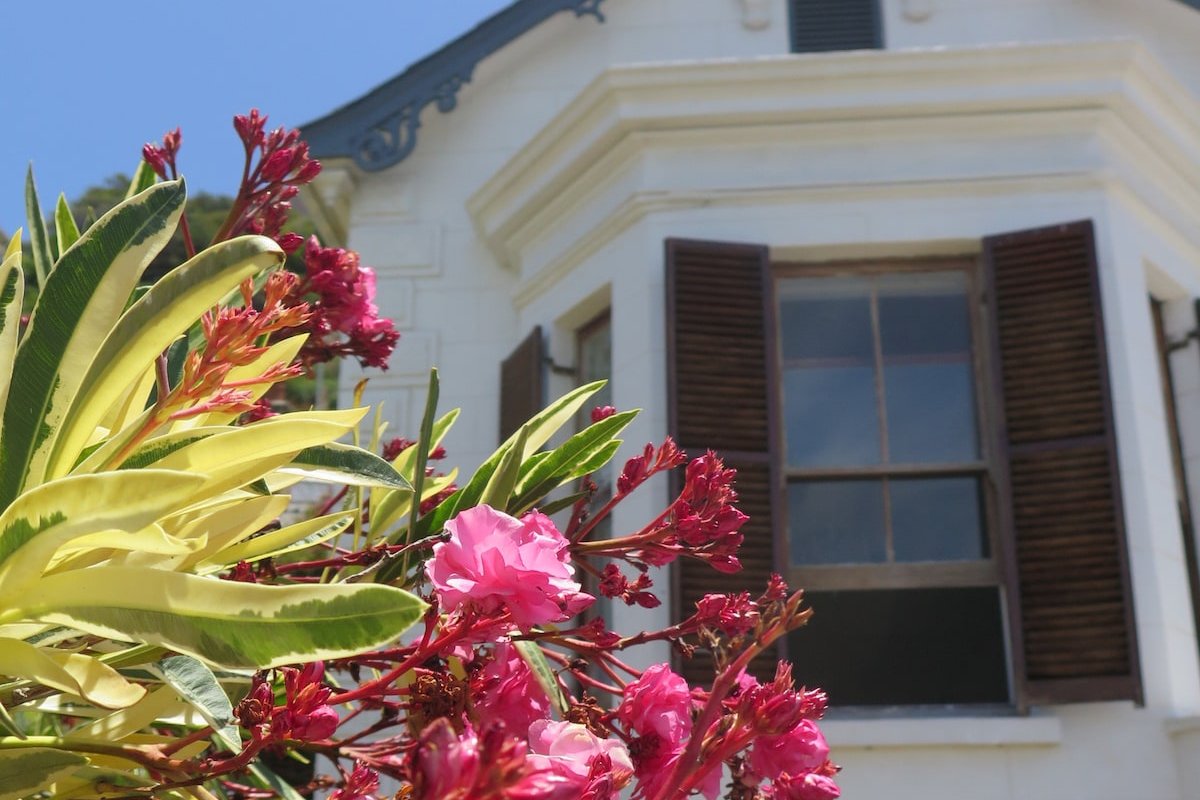 Spacious Oceanfront Historic Carisbrooke House gallery image 5