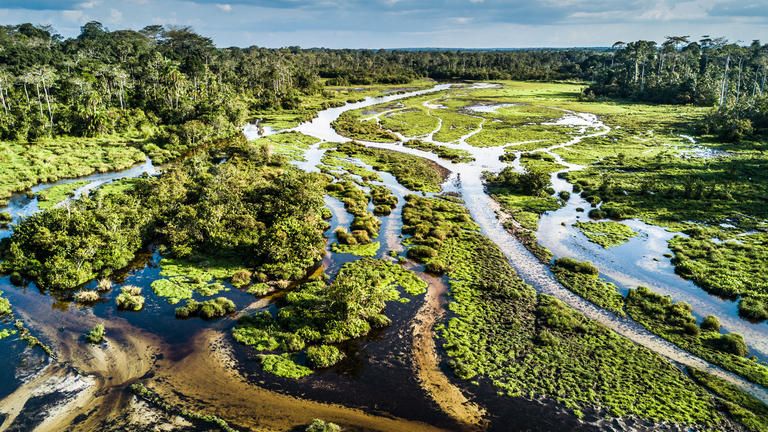 Lango Lodge - Kamba African Rainforest Experiences - Life on the Baí