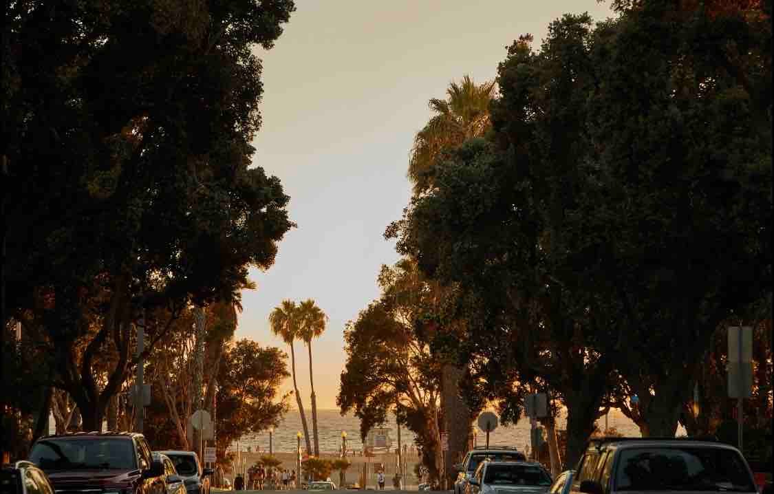 Santa Monica DREAM Modern Home gallery image 3