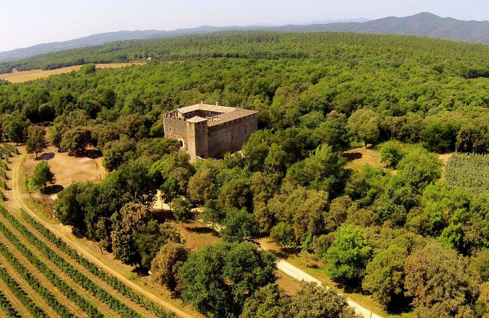 Castillo de Cartellá