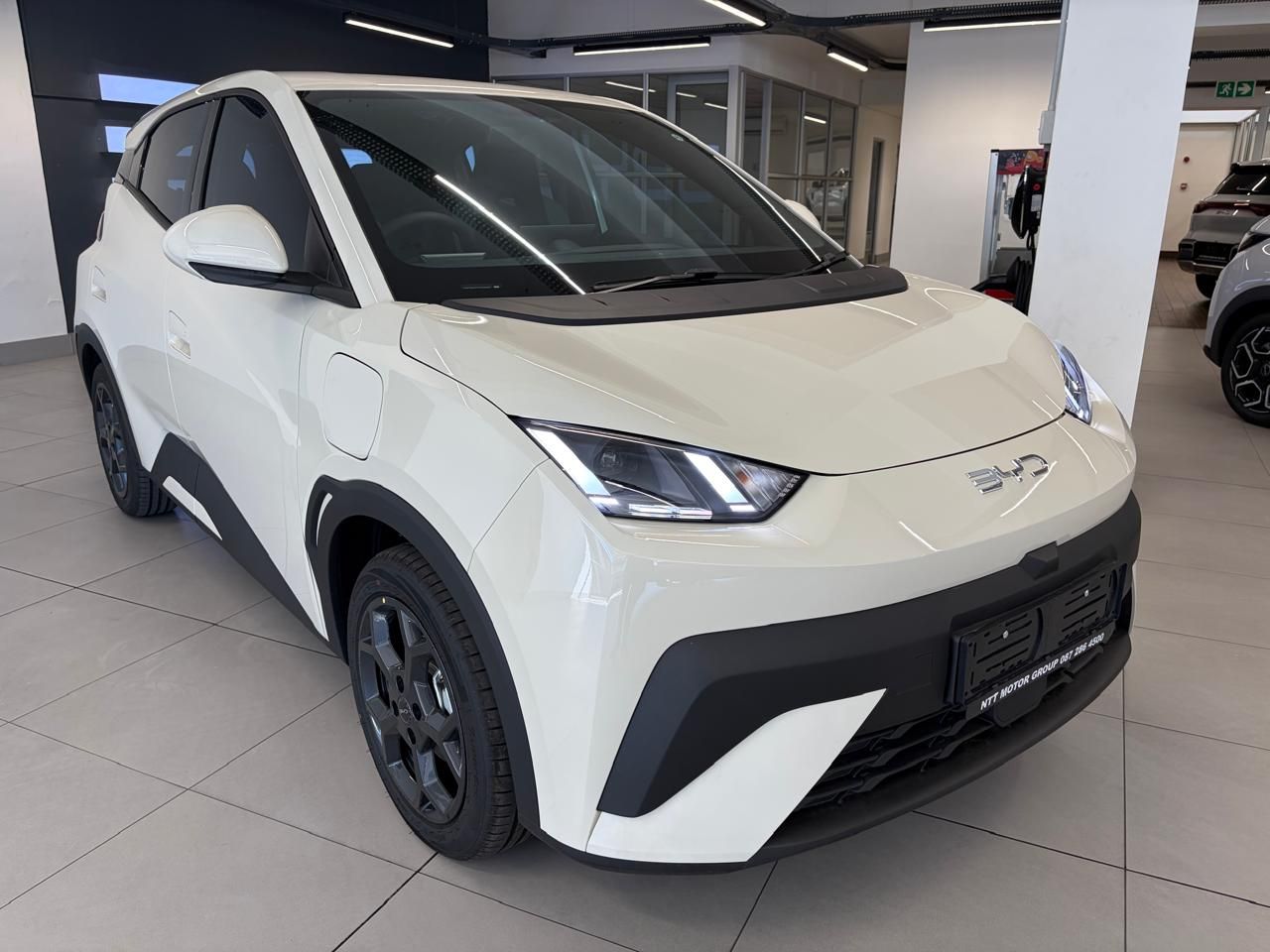 BYD DOLPHIN SURF DYNAMIC for Sale in South Africa