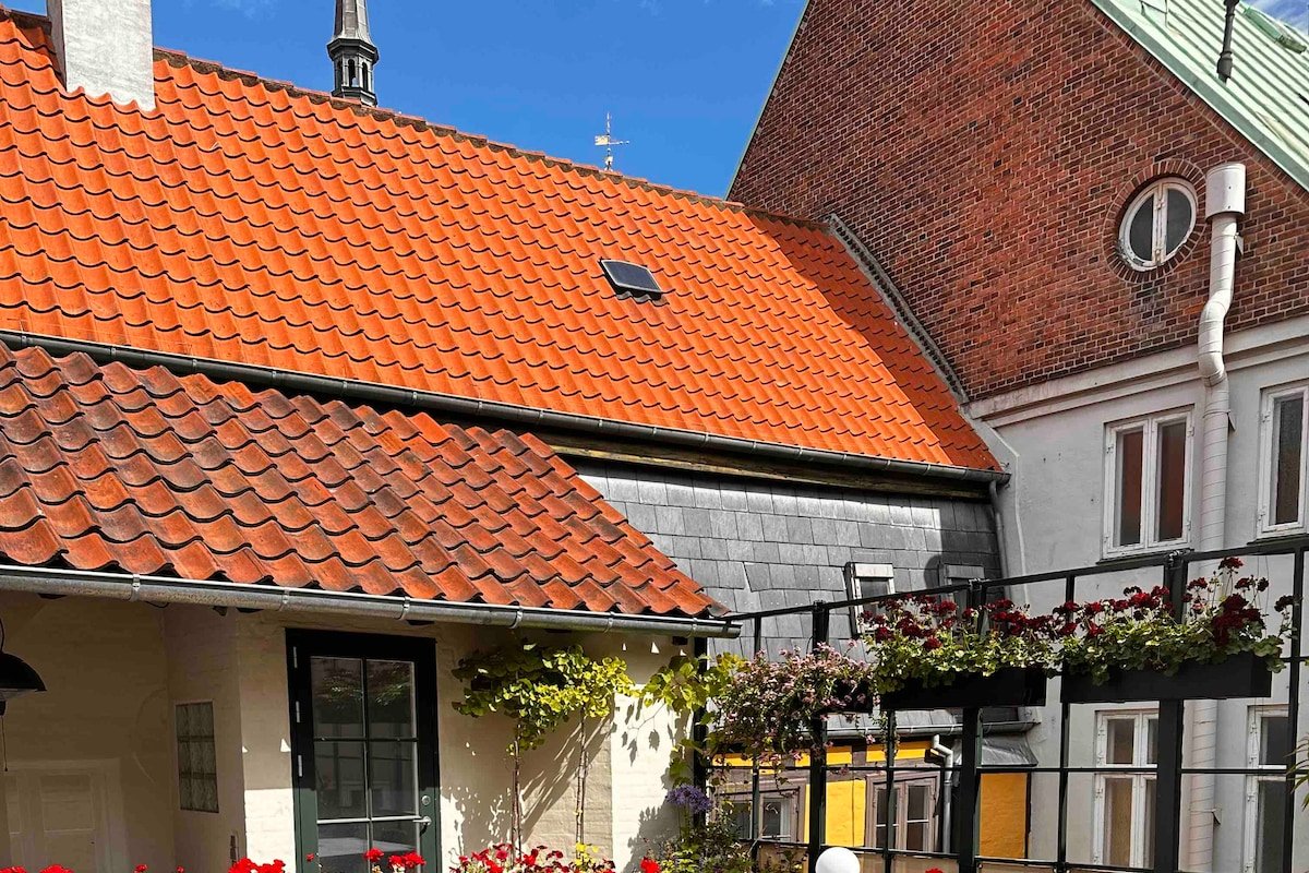Centrum – Eksklusiv duplex with Roof top terrace gallery image 5