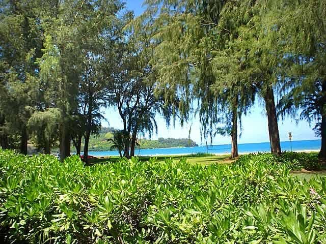 Jones’ Hanalei Bay Oceanfront, Beach Home gallery image 3