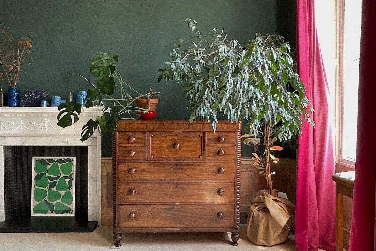 Leafy & Spacious Artists Home. Super Central. gallery image 4