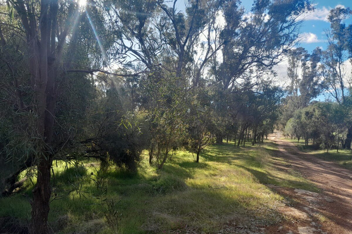 Rose Creek Farm Stay, Williams gallery image 3