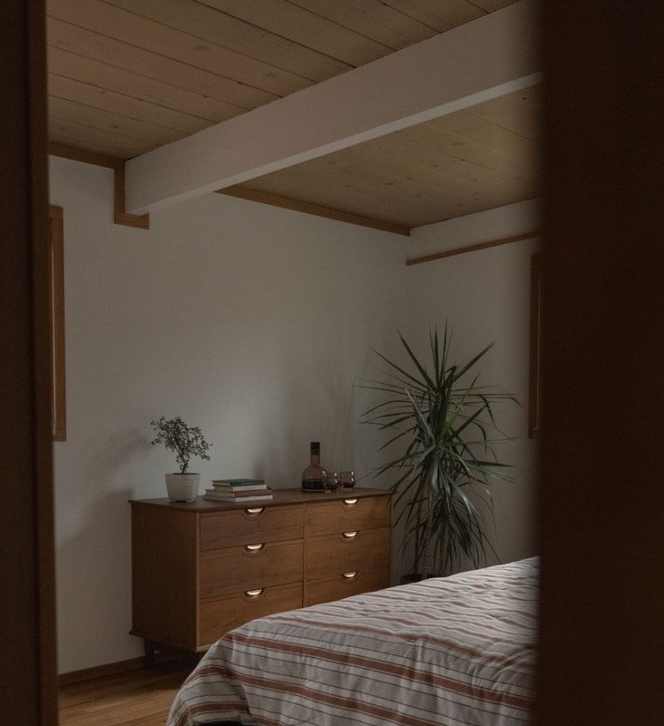 Cedar Hot Tub | Cold Plunge Mid-Century Getaway gallery image 5