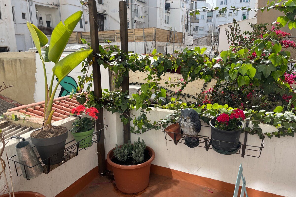 Ruzafa Centre Apartment II Valencia .A/C.Terrace gallery image 4