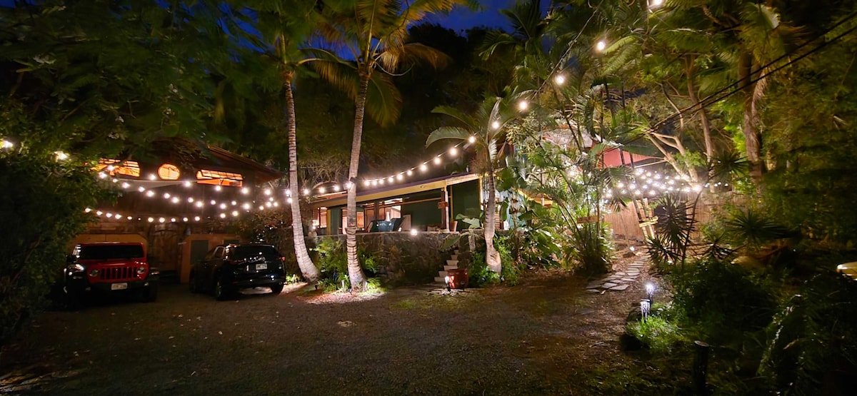 The Salty Jungle Kona gallery image 4