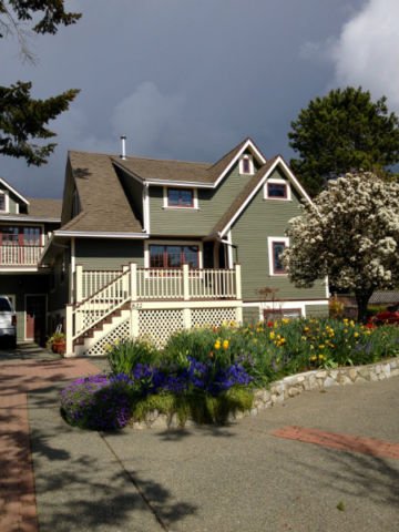 Character Stay across Swan Lake Nature Sanctuary gallery image 5