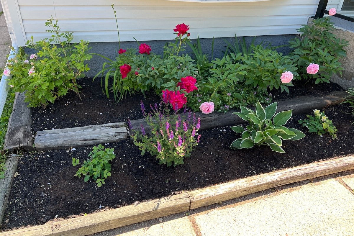 A Spacious & Quiet Retreat gallery image 5