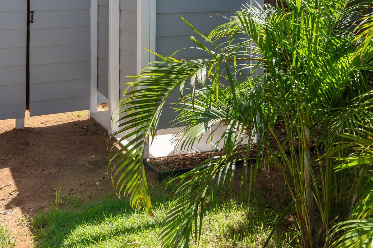 Absolute Beach front home @ Log Cabins Surf break gallery image 4