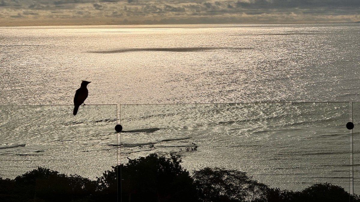 Winner 2025 Archello Global Award Best Rural Home gallery image 4