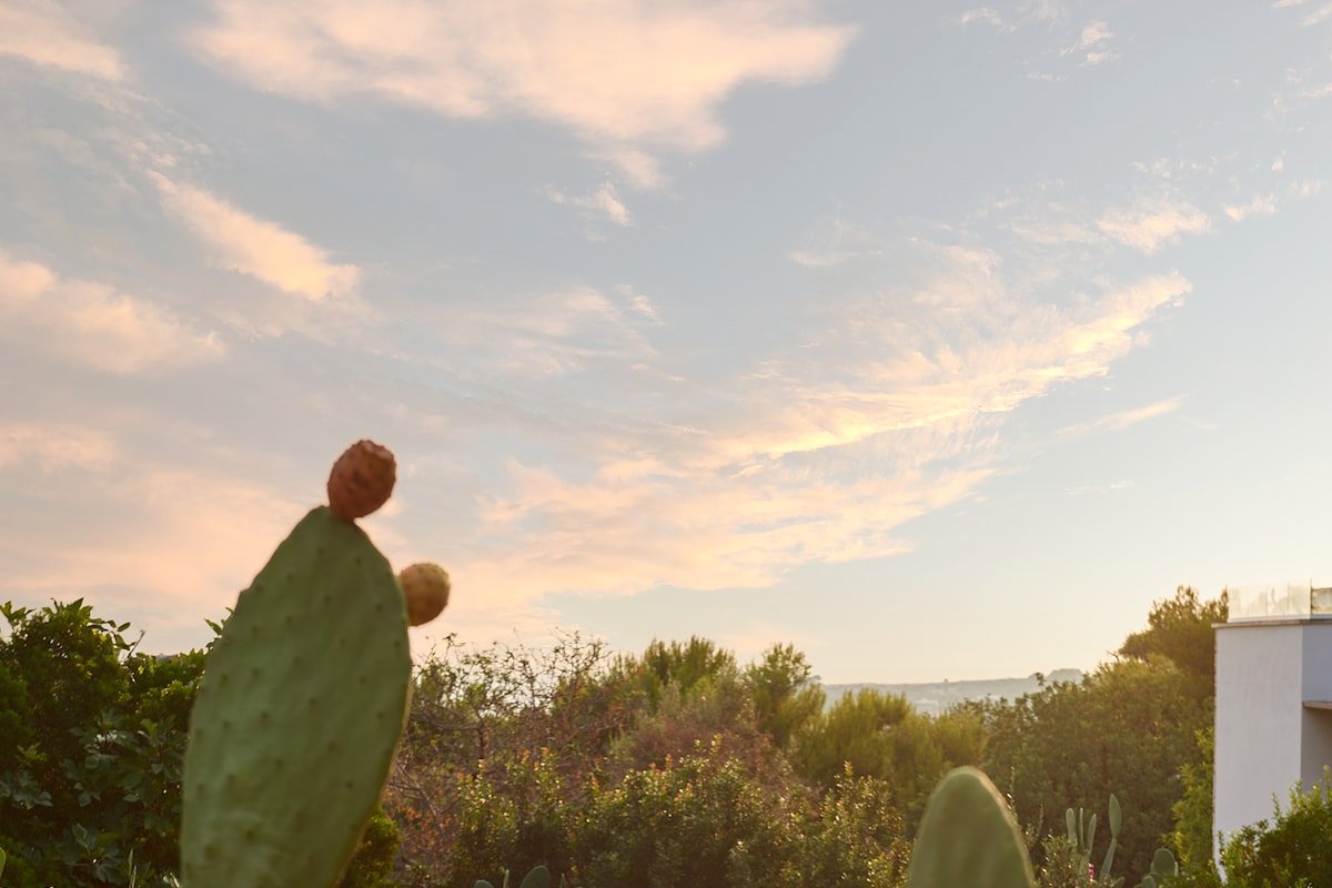 Villa Boho #401 gallery image 4