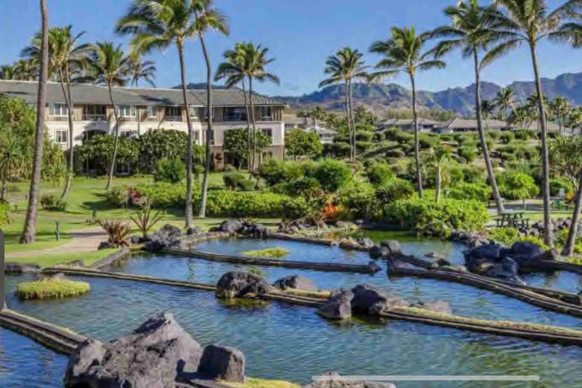 Come for the Holidays 2/2 Kauai Dreams