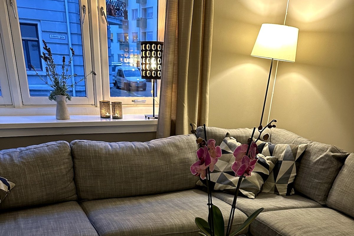 Spacious Central Oslo apartment in quiet area gallery image 5