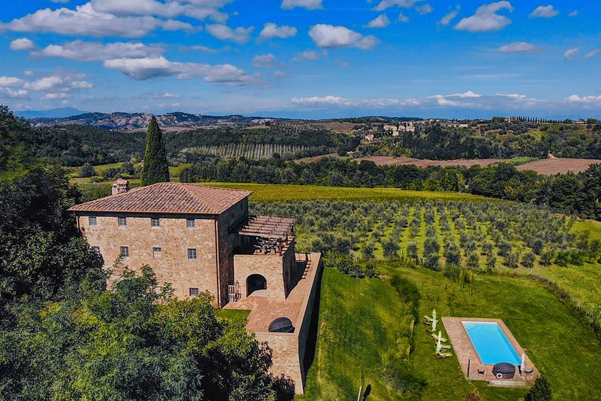 Distinta gallery image 5