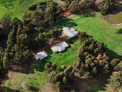 Relaxing rural property, 15 mins from Denmark