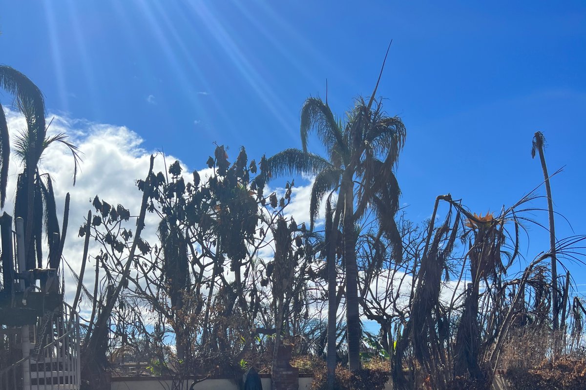 Stroll to Lahaina Town from Gated Home with Private Pool