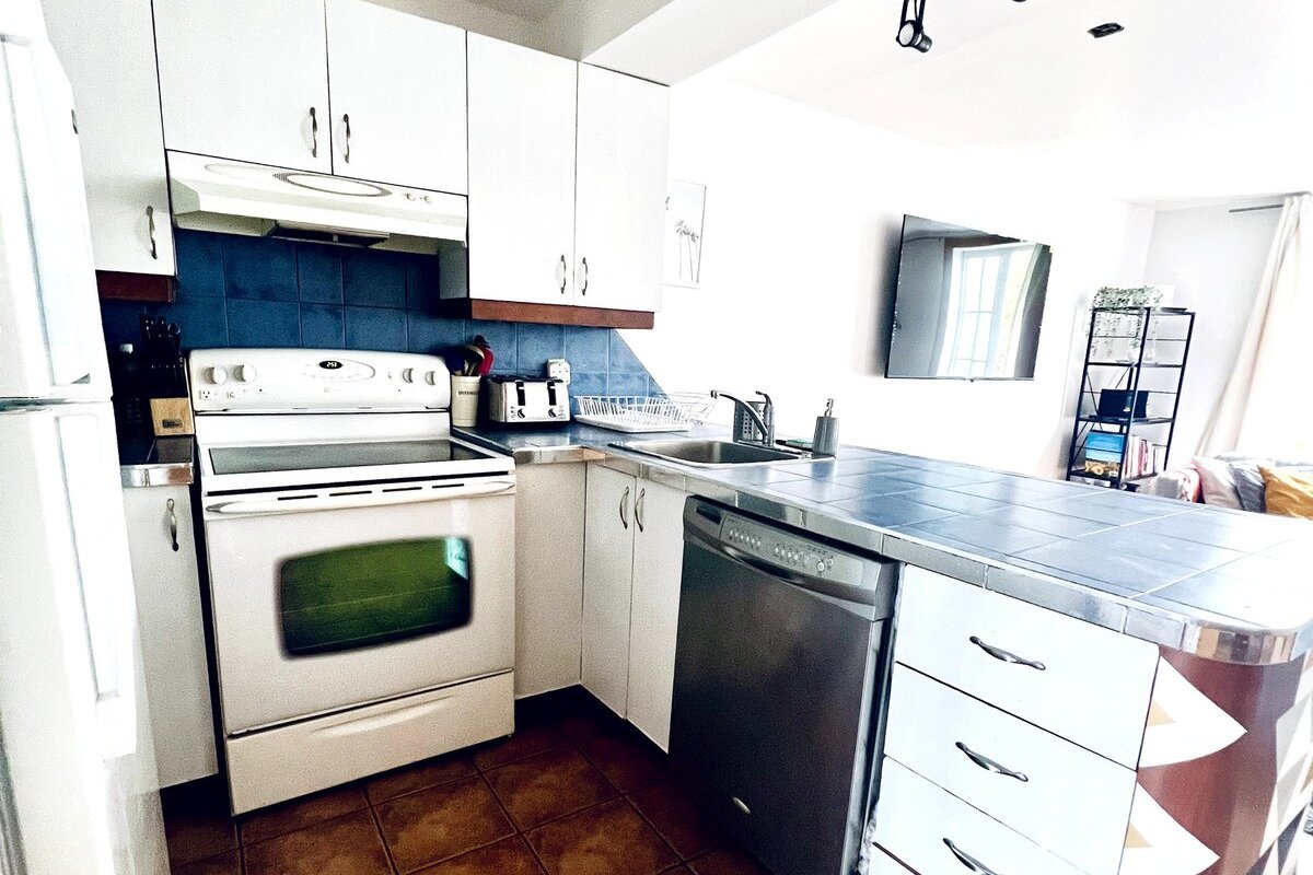 Oasis Urbain – City Center & Nature gallery image 4