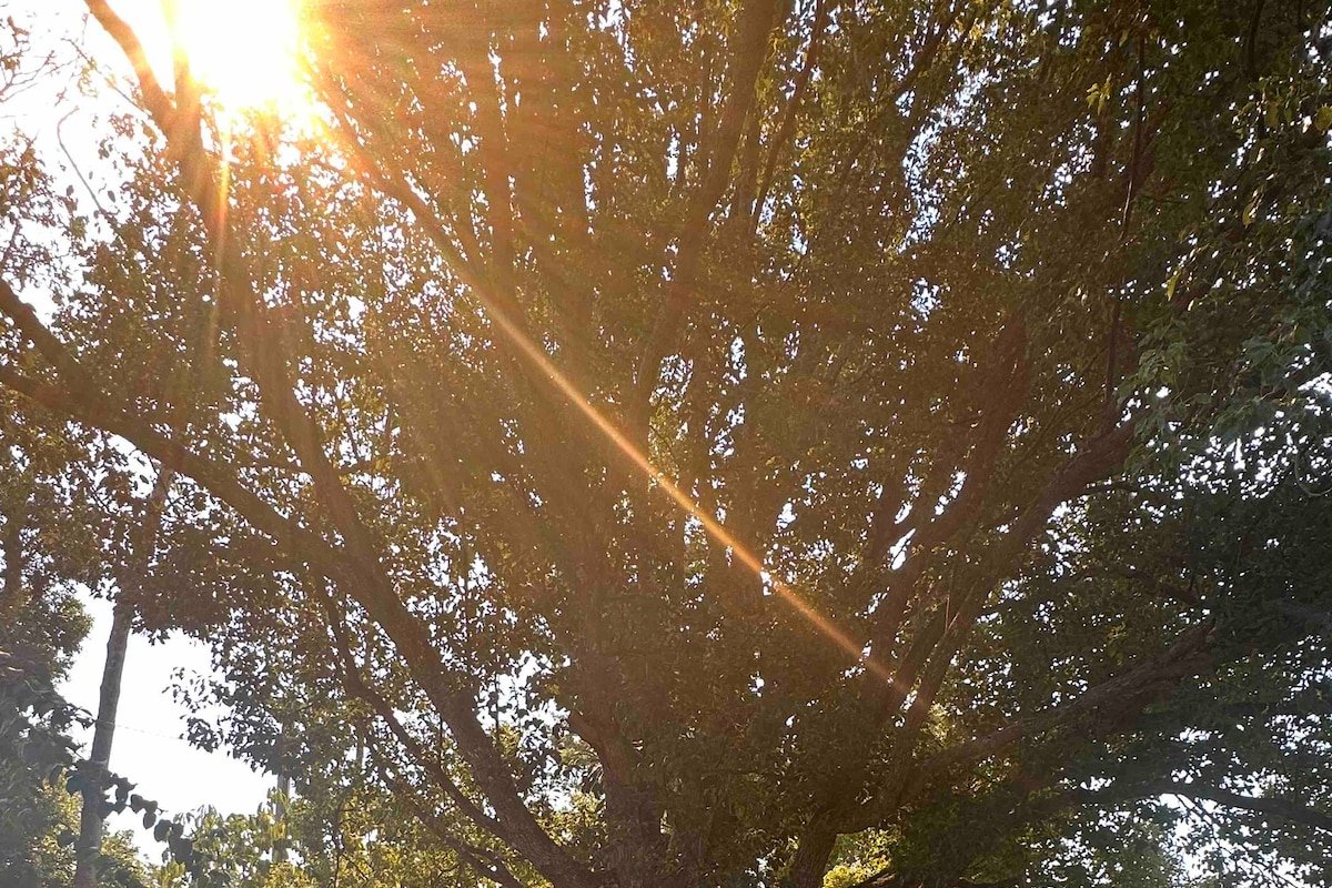 Beranghi Homestead gallery image 4