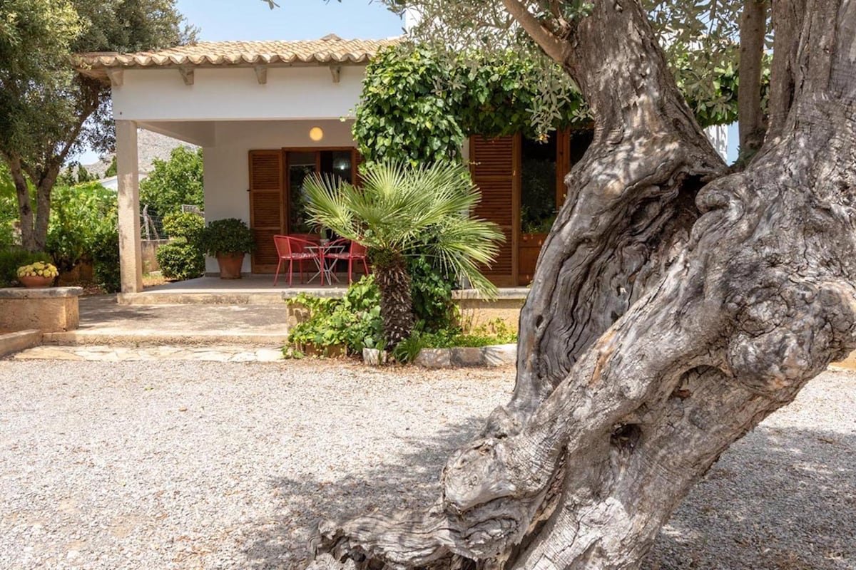 La Vinya Can Oliver gallery image 4