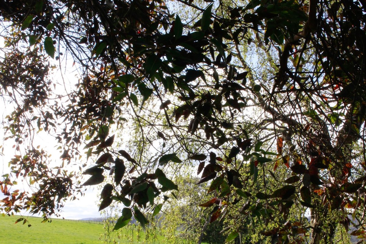 Thornby Farm stay gallery image 4