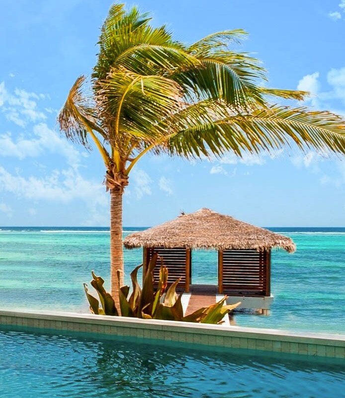 Black Urchin Residence 2 gallery image 5