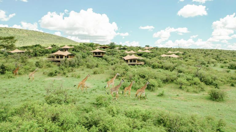 our private paradise - Mara Bushtops is set within our own private wildlife reserve.